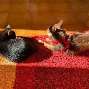 A Casa Di Elena Frühstückspension
